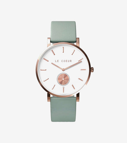 Integer sed nisi non magna varius