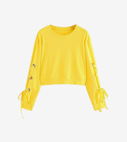 Morbi posuere augue velit